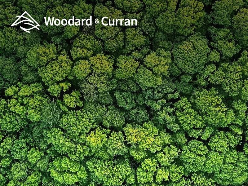 Woodard & Curran 2021 Sustainability Reporting updates